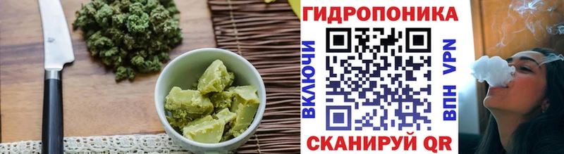 blacksprut tor  Мончегорск  Cannafood конопля  магазин  наркотиков 