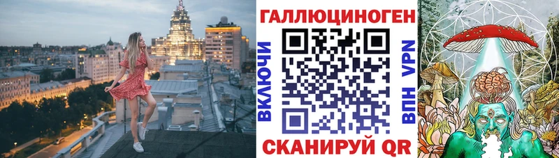 Галлюциногенные грибы Psilocybe  Мончегорск 